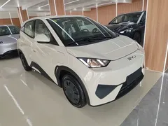 2025 BYD Seagull EV 305km, белый — фото 4