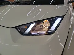 2025 BYD Seagull EV 305km, белый — фото 24