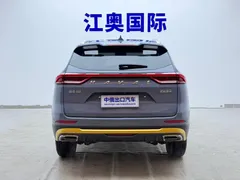 2021 Haval H6 1.5T AT Guochao Urban — фото 21