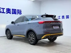 2021 Haval H6 1.5T AT Guochao Urban — фото 23