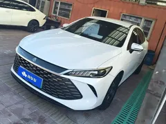 2025 BYD Qin PLUS DM-i PHEV 55km Exceed Smart Driving, белый — фото 1