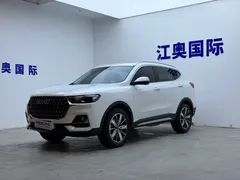2023 Haval H6 1.5T AT Guochao Champion, белый — фото 1