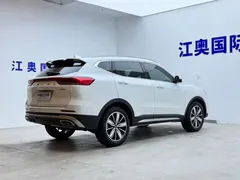 2023 Haval H6 1.5T AT Guochao Champion, белый — фото 18