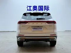 2023 Haval H6 1.5T AT Guochao Champion, белый — фото 19