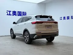 2023 Haval H6 1.5T AT Guochao Champion, белый — фото 21