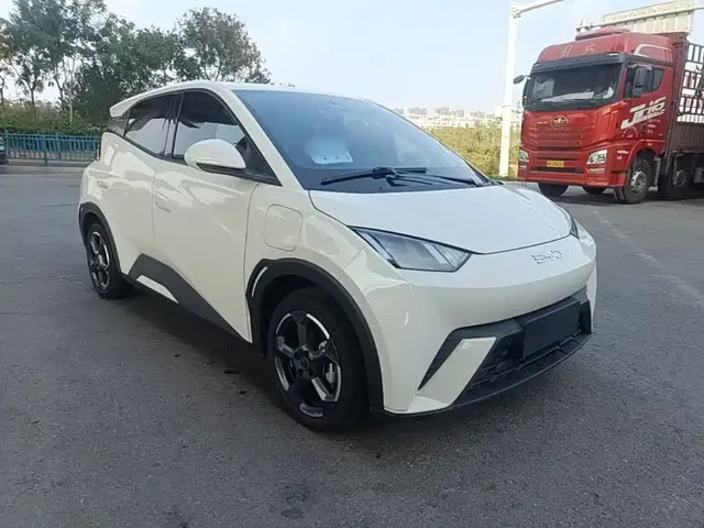 2024 BYD Seagull EV 305km Honor Freedom