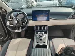 2023 BYD Yuan PLUS Champion 510km Leading — фото 10