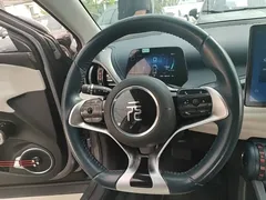 2023 BYD Yuan PLUS Champion 510km Leading — фото 11