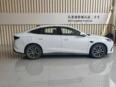 2025 BYD Seal 06 DM-i PHEV 120KM Smart Driving Premium, белый — фото 4