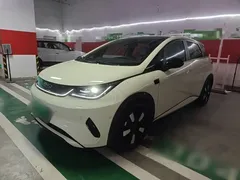 2025 BYD Dolphin Smart Driving 410km Fashion — фото 2