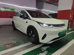 2025 BYD Dolphin Smart Driving 410km Fashion — фото 4