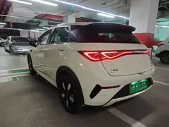 2025 BYD Dolphin Smart Driving 410km Fashion — фото 5