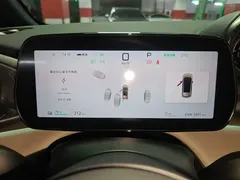 2025 BYD Dolphin Smart Driving 410km Fashion — фото 12