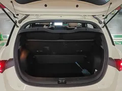 2025 BYD Dolphin Smart Driving 410km Fashion — фото 19