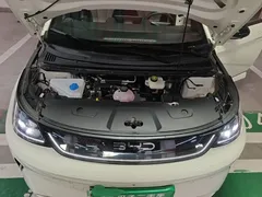 2025 BYD Dolphin Smart Driving 410km Fashion — фото 20