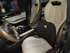 2023 BYD Qin PLUS Champion DM-i PHEV 55KM Leading — фото 8