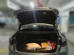 2023 BYD Qin PLUS Champion DM-i PHEV 55KM Leading — фото 10