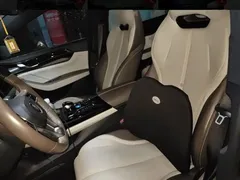 2023 BYD Qin PLUS Champion DM-i PHEV 55KM Leading — фото 13