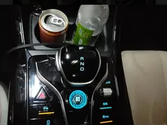 2023 BYD Qin PLUS Champion DM-i PHEV 55KM Leading — фото 14