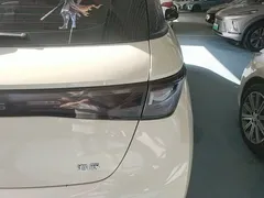 2025 BYD Dolphin 420km Freedom, белый — фото 8