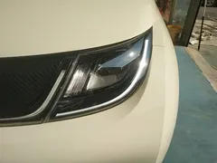2025 BYD Dolphin 420km Freedom, белый — фото 24