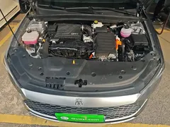 2024 BYD Qin PLUS Honor DM-i PHEV 55km Leading — фото 20