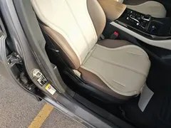 2024 BYD Qin PLUS Honor DM-i PHEV 55km Leading — фото 25