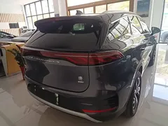 2025 BYD Tang DM-i PHEV 115km Flagship — фото 6
