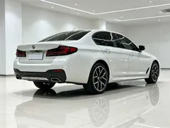 2021 BMW 5 Series 530Li Premium M Sport Package, белый — фото 4