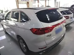 2021 Haval M6 Plus 1.5T DCT Elite, белый — фото 5