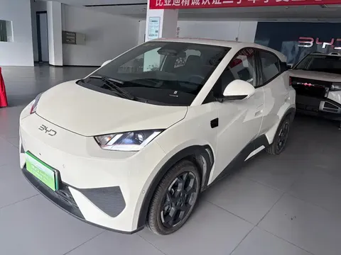 2025 BYD Seagull Smart Driving 305km Freedom