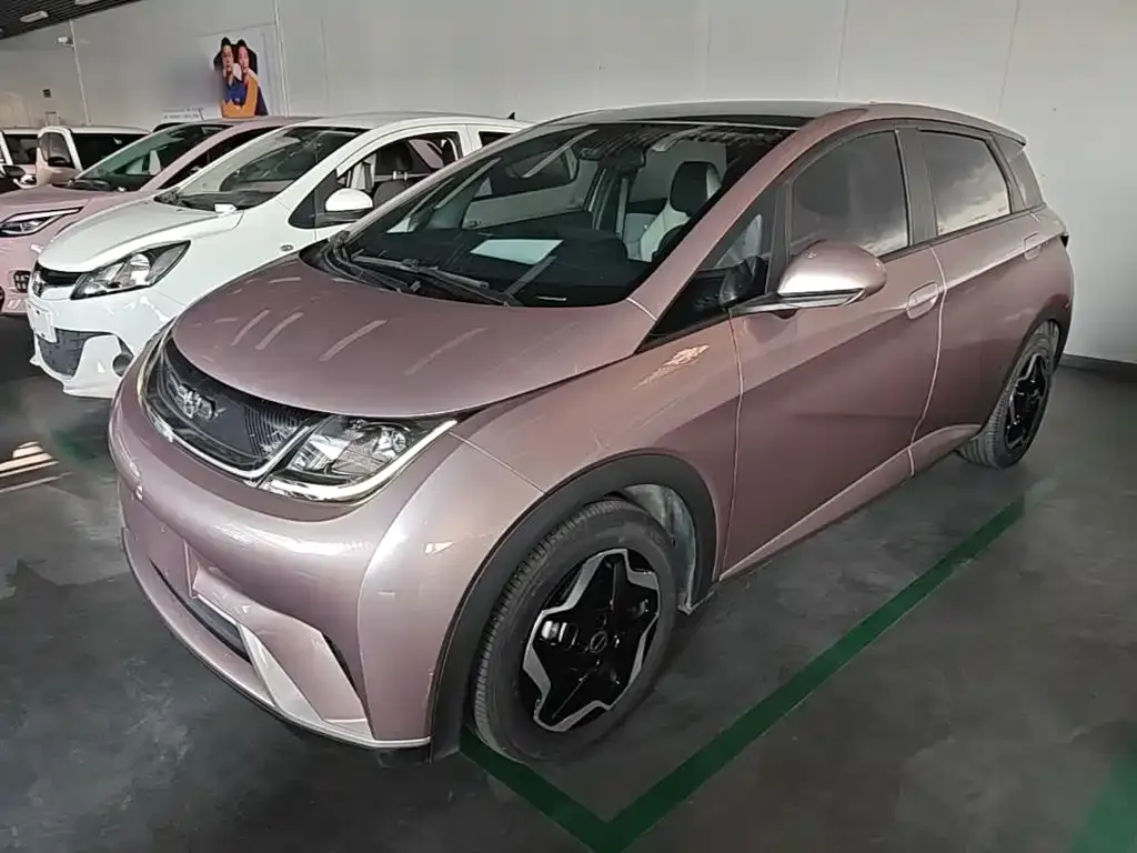 2021 BYD Dolphin EV 405km Freedom