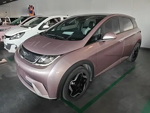 2021 BYD Dolphin EV 405km Freedom