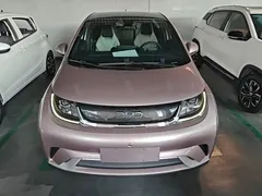 2021 BYD Dolphin EV 405km Freedom — фото 3