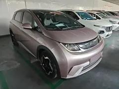 2021 BYD Dolphin EV 405km Freedom — фото 4