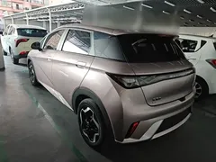2021 BYD Dolphin EV 405km Freedom — фото 5