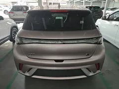2021 BYD Dolphin EV 405km Freedom — фото 6