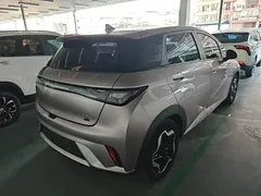 2021 BYD Dolphin EV 405km Freedom — фото 7