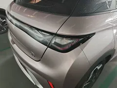 2021 BYD Dolphin EV 405km Freedom — фото 8