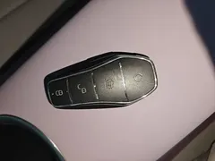 2021 BYD Dolphin EV 405km Freedom — фото 9