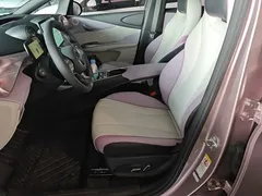 2021 BYD Dolphin EV 405km Freedom — фото 15