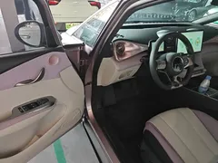 2021 BYD Dolphin EV 405km Freedom — фото 16