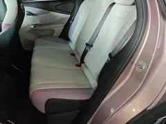 2021 BYD Dolphin EV 405km Freedom — фото 17