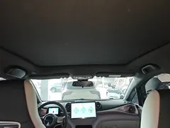2021 BYD Dolphin EV 405km Freedom — фото 18