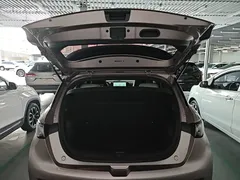 2021 BYD Dolphin EV 405km Freedom — фото 19