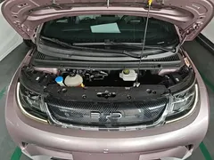 2021 BYD Dolphin EV 405km Freedom — фото 20