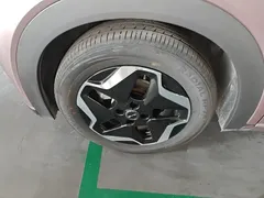 2021 BYD Dolphin EV 405km Freedom — фото 23