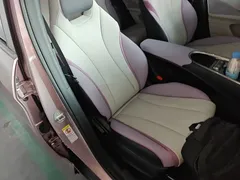 2021 BYD Dolphin EV 405km Freedom — фото 25