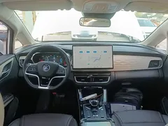2022 BYD Song Max DM-i 105KM Executive, белый — фото 10