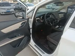 2022 BYD Song Max DM-i 105KM Executive, белый — фото 16